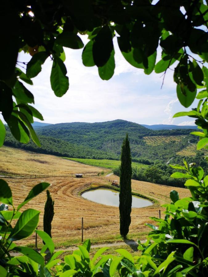 Agriturismo Selvella Allerona 外观 照片