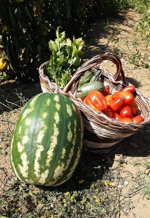 Agriturismo Selvella Allerona 外观 照片