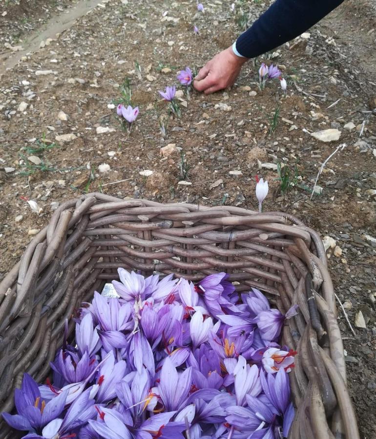 Agriturismo Selvella Allerona 外观 照片