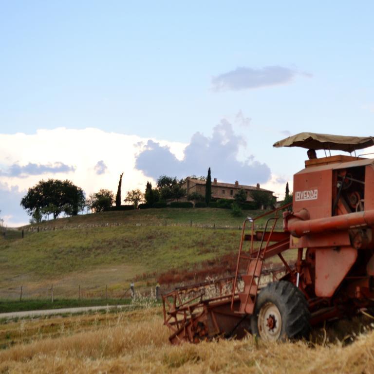 Agriturismo Selvella Allerona 外观 照片